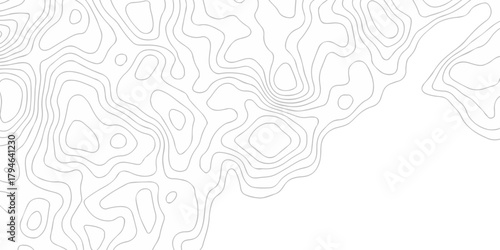 Abstract pattern with lines seamless pattern and topography map and counter map. abstract sea map and mounte map area space geometric line technology topo landscape grid map texture.	
