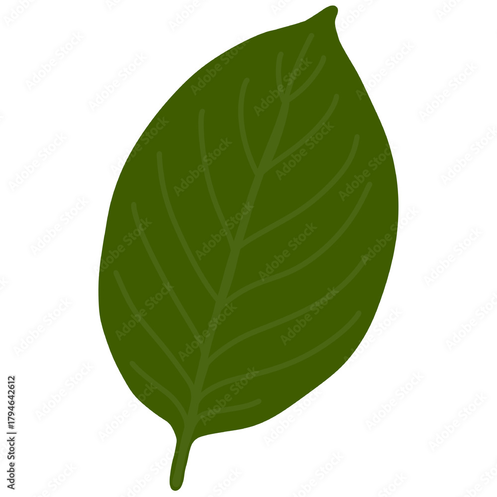 Obraz premium Green Maple Leaf Silhouette on White Background