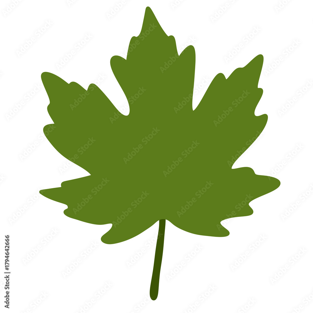 Obraz premium Heart Shaped Leaf with Vein Detail in Deep Green on White