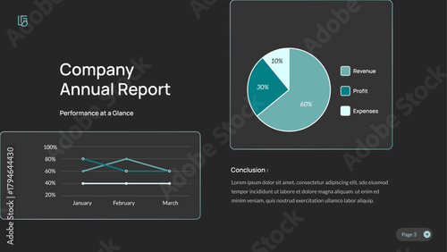 Company Annual Report