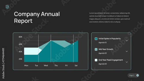 Company Annual Report