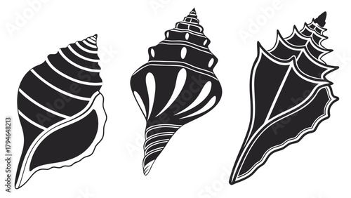 Black Silhouette Conch Shell Icons Vector Set – Nautical Sea Shell Symbols, Marine Coastal Graphics, and Ocean-Themed Design Elements