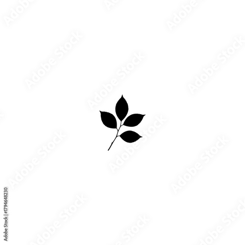Minimalist black leaf illustration on white background for design elements