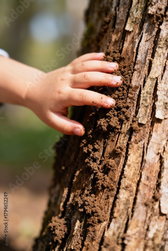 Wallpaper Mural Macro Photo of Child’s Fingers Touching Damp Soil in Natural Daylight Symbolizing Nature Connection Torontodigital.ca