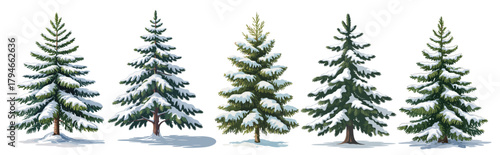Set of Christmas tree covered by snow. Watercolor style vector illustrations isolated on transparent background
