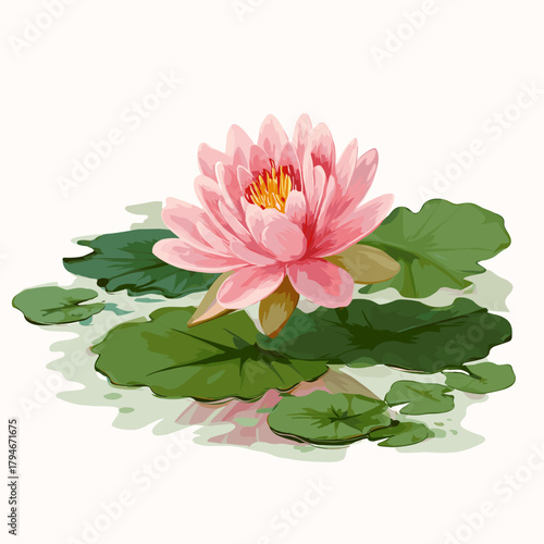 Vector illustration of a lotus flower with leaves on the surface of the water