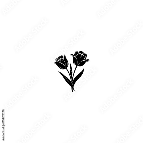 Black and white illustration of two tulip flowers with green leaves