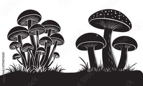 Mushroom Silhouette Vector Illustration