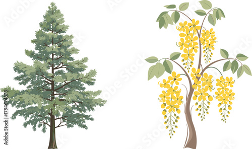 Coniferous pine tree and flowering yellow tree, botanical contrast, forest diversity, vibrant blossoms, seasonal foliage, nature scene, outdoor landscape, plant structure, scenic view, green leaves