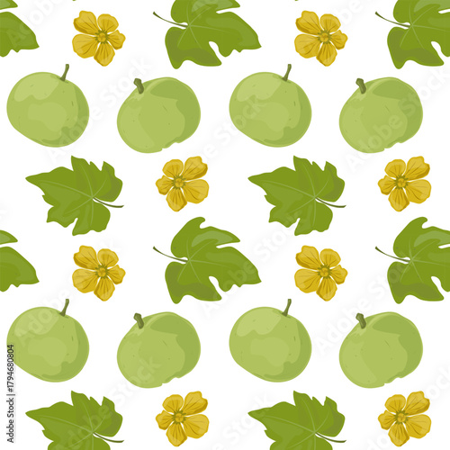 Seamless pattern Tinda. Indian Round Gourd.