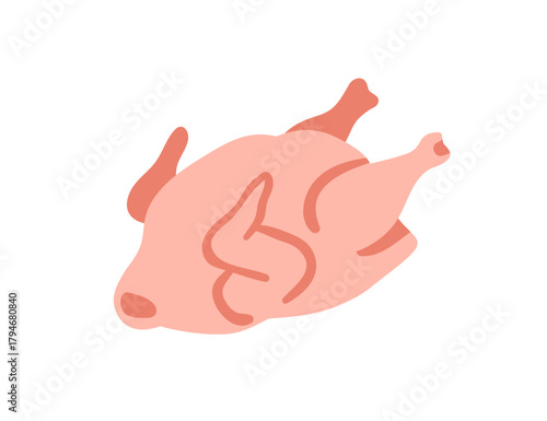 Raw chicken, whole poultry, hen meat. Full bird carcass, uncooked fresh organic protein food for dinner meal. Broiler, fowl product, produce. Flat vector illustration isolated on white background