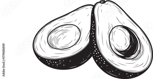 Hand drawn sketch illustration of two halves of a ripe avocado with visible pit and textured skin on white background