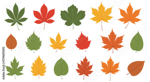 A diverse collection of colorful autumn leaves in various shapes and sizes during fall season.