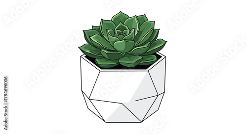 Geometric white planter with a succulent plant inside and white background.