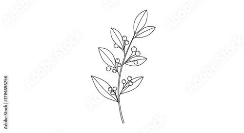 A delicate botanical illustration of a small leafy branch rendered in dotted lines.