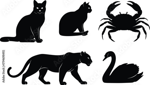 Animal silhouettes, cat, crab, panther, swan, wildlife shapes, black outline, vector animals, nature icons, 