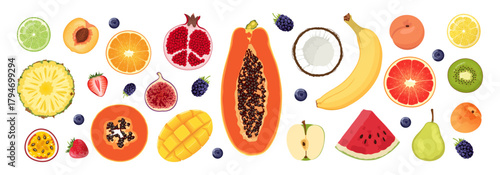 A colorful assortment of tropical and garden fruits. . Collection of organic vitamins and healthy nutrition. Hand drawn set includes peach, watermelon, banana, coconut, papaya, pineapple and other.