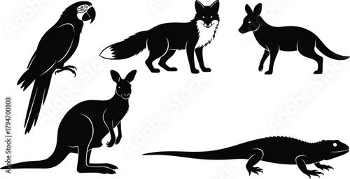 Animal silhouettes, parrot, fox, kangaroo, wallaby, lizard, black shapes, wildlife icons, nature creatures, biodiversity, vector art, isolated