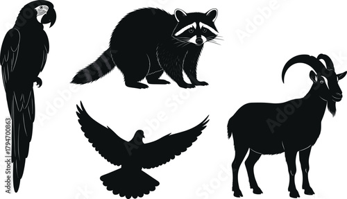 Animal silhouettes, parrot, raccoon, flying bird, goat, wildlife icons, black shapes, vector animals, nature symbols, isolated creatures, stock illustration