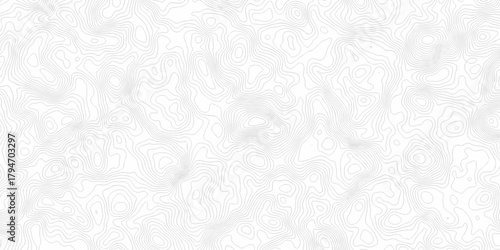 Contour abstract map relief land outline. Topographic map patterns. White wave paper curved reliefs abstract background. Background of the topography map. Abstract pattern with lines.	

