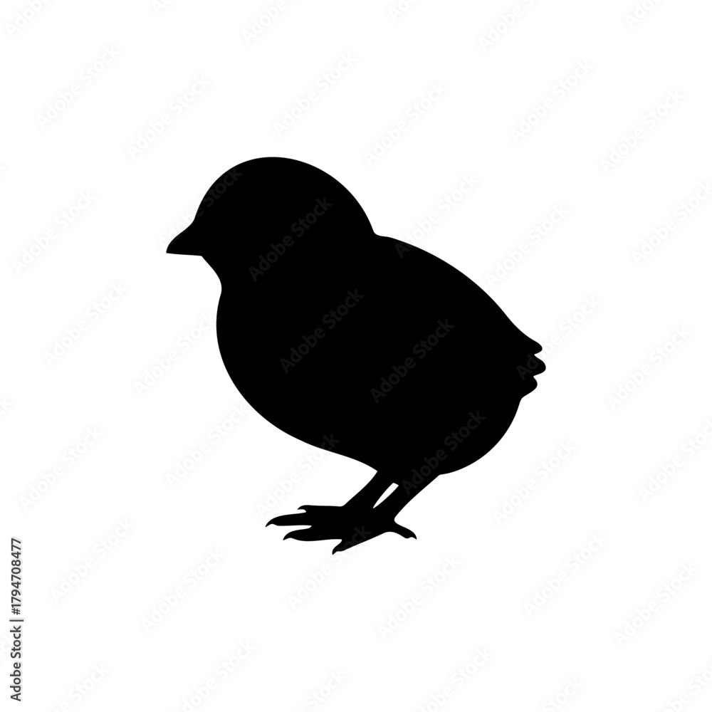 Fototapeta premium Baby chick silhouette vector flat illustration design.