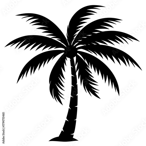 palm tree silhouette