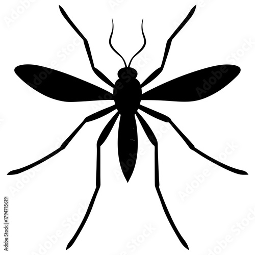  sillhouette of dengue mosquito 