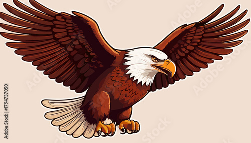 Flying bald eagle with wide wings spread