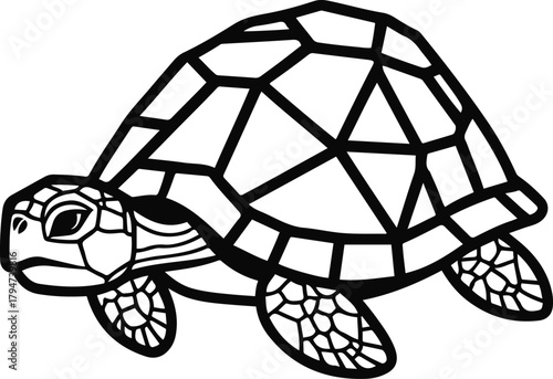 Turtle with a geometric shell made of triangles and circles, minimal bold line art, symbolic of balance and harmony 1