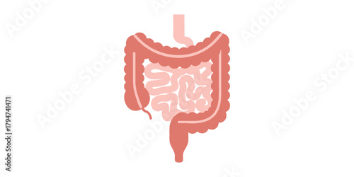 Human Intestinal Tract Illustration for Digestive System Health