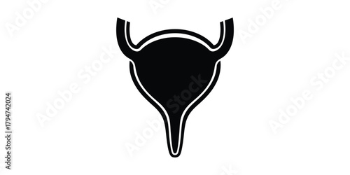 An illustration of a human bladder, a crucial organ in the urinary system responsible for storing urine before excretion