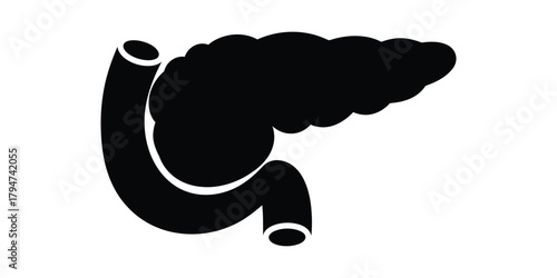 Illustration of the human pancreas and duodenum, medical anatomy representation