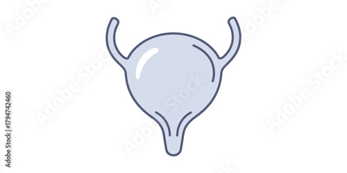 Minimalist line art icon of the human urinary bladder, a simple vector symbol for urology, anatomy, and healthcare concepts