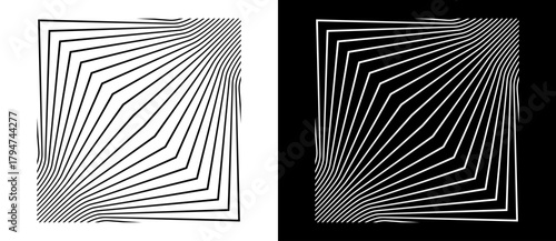 Abstract background with waves lines. Illusion of dynamic transition. A black lines on a white background and an equally white lines on the black side.