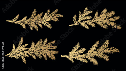 Gold fir branch on black background hand drawn set.	
