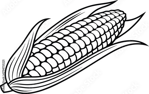 Corn Illustration Set. Fresh Corn Collection. Corn Icons and Elements. Sweet Corn Graphics. Maize Crop Illustration Set. Corn Vegetables Bundle. Corn Cobs and Kernels Art. Organic Corn Food Set