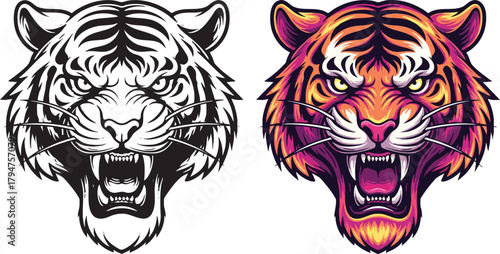 Tiger Face Vector Illustrations Angry Wild Cat Portrait in Color and Black and White