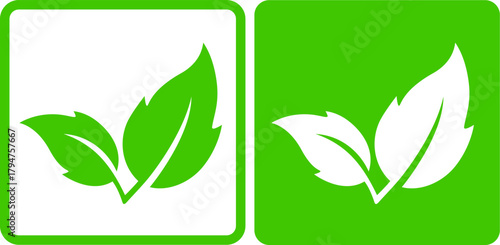 eco nature green leaves, herb icon, plant branch and twig silhouette
