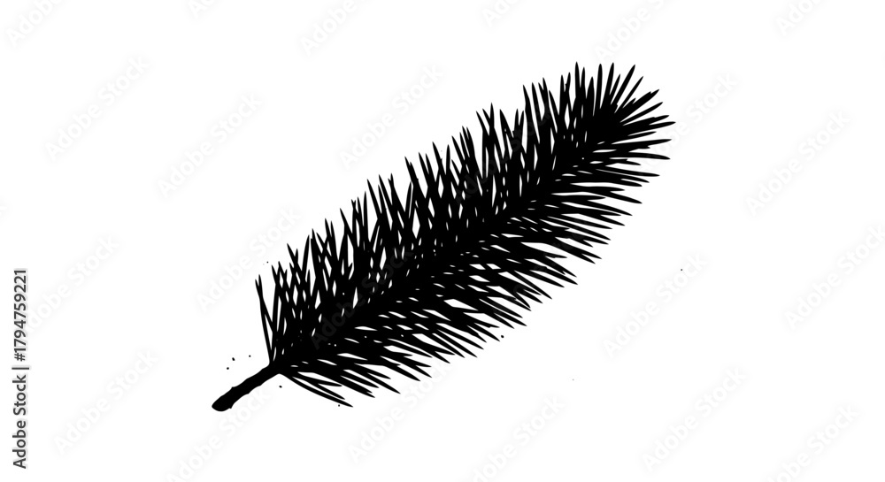 Obraz premium Monochrome botanical illustration displaying a pine branch with intricate needle details in a
