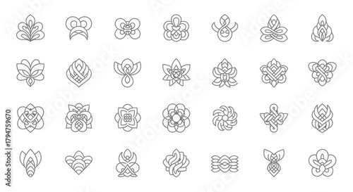 Collection of unique botanical vector designs with various floral and organic elements beautifully
