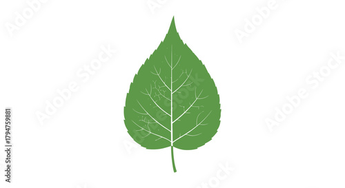 Aesthetic depiction of a vibrant green leaf, symbolising nature's freshness and organic essence