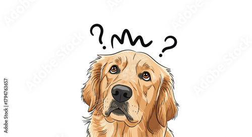 Confused golden retriever puppy with question marks above head
