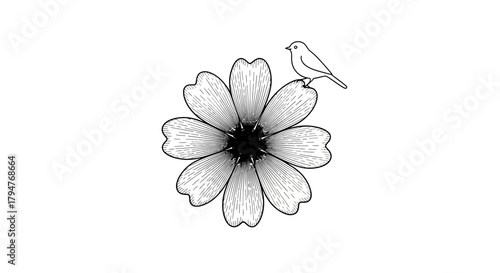 Minimalist line art of a delicate flower with a small bird perched on its petal expressing the