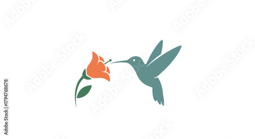 Minimalistic representation of a hummingbird approaching a vibrant blossom in clean design