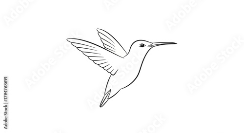 Elegant black and white line drawing of a hummingbird in mid-flight graceful avian portrayal