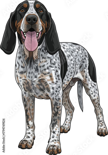 Grand Bleu de Gascogne dog standing happy panting smiling pose