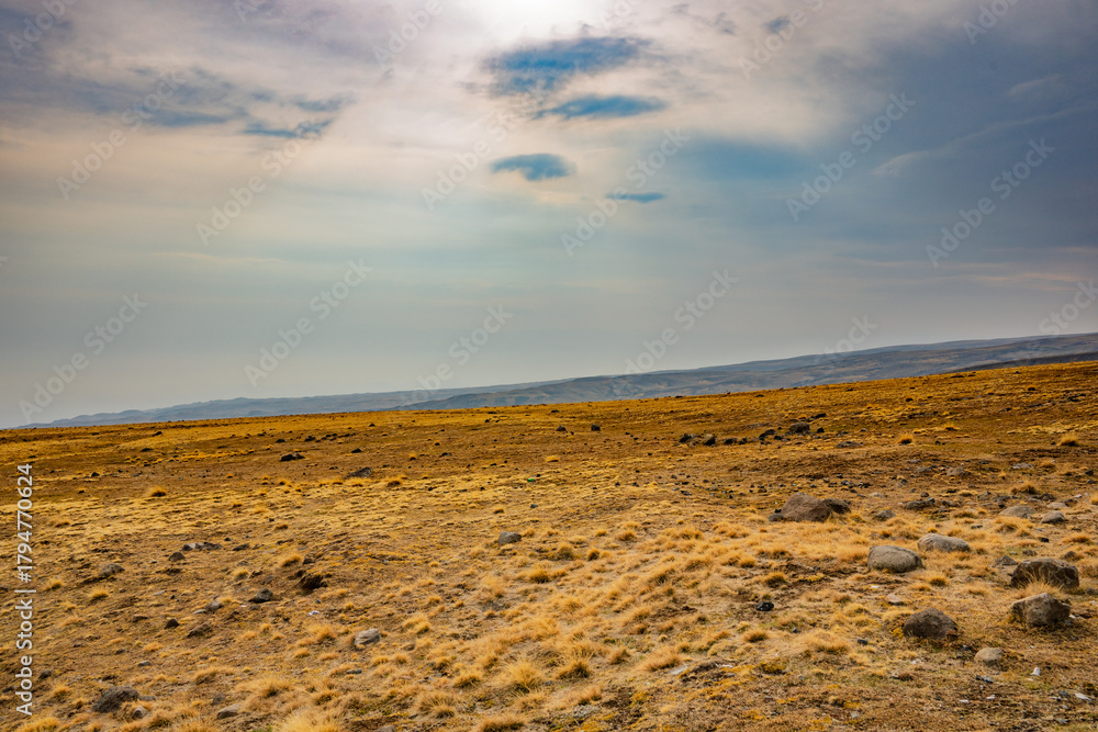 Fototapeta premium A large, empty field with a cloudy sky in the background