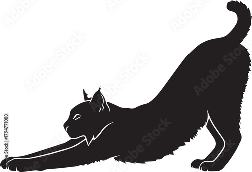 Silhouette of a domestic cat stretching its body in a graceful and athletic pose