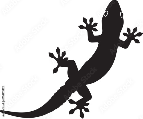 Silhouetted gecko on a reptile with sticky feet