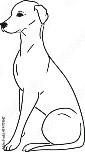 Continuous single-line drawing of a dog sitting calmly with flowing elegant curves, minimal modern vector style, black and white 1